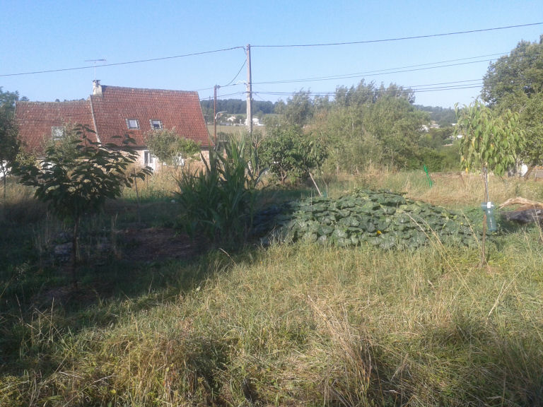 20190809_090548.jpg